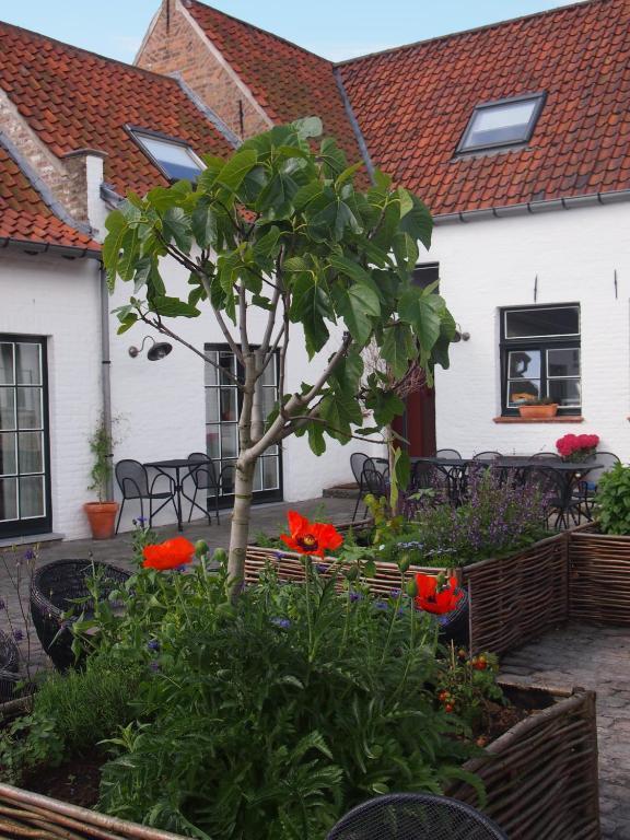 Hotel Het Oud Gemeentehuis Damme Exterior foto
